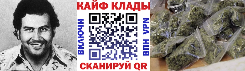 Купить наркотики сайты Багратионовск COCAIN Псилоцибиновые грибы ГАШИШ Меф мяу мяу