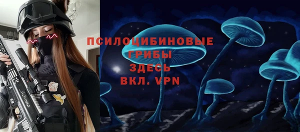 меф Алексин