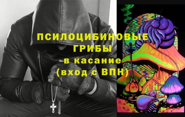 мдпв Алзамай