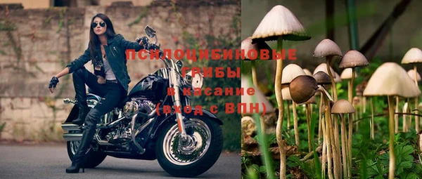 меф Алексин