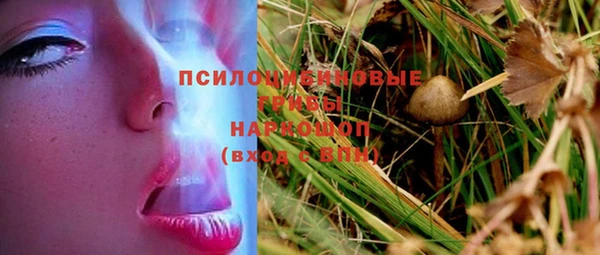 МДПВ Алексеевка